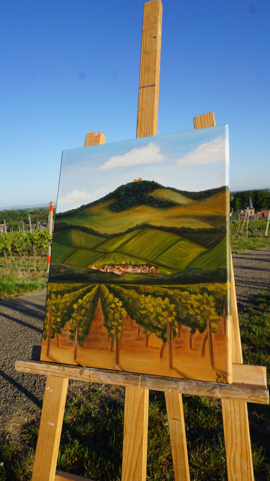 Vignoble Haut-Rhinois